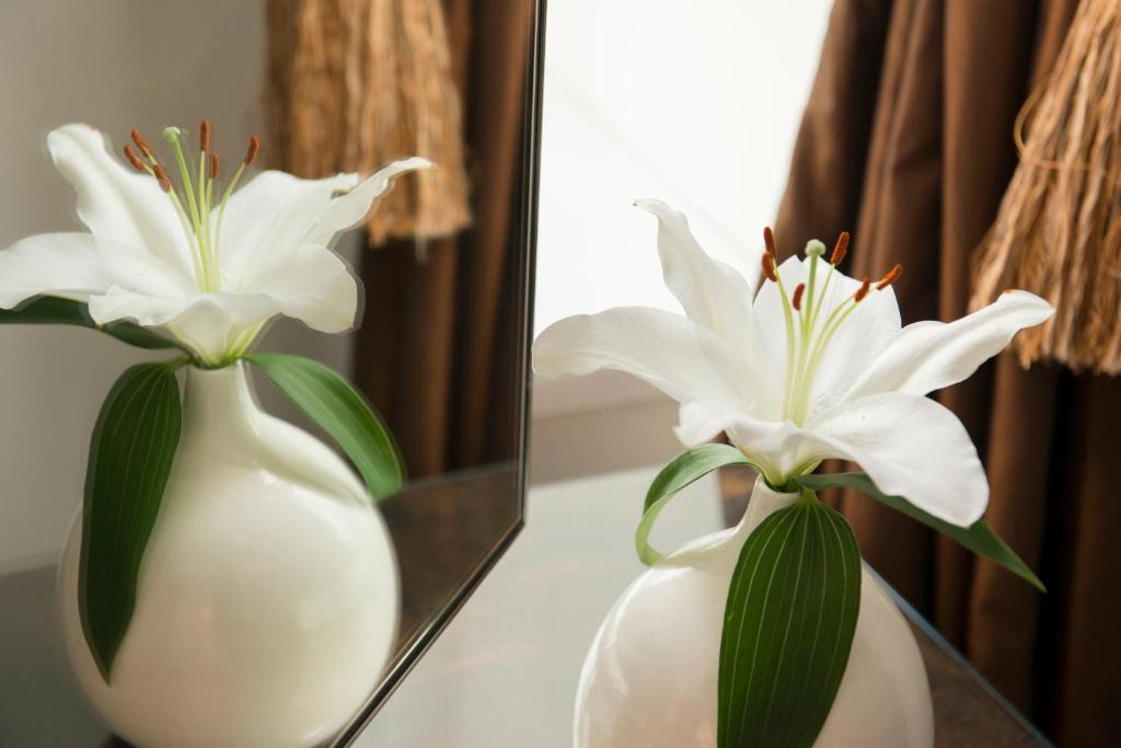The Grange Bed and Breakfast St Austell Εξωτερικό φωτογραφία
